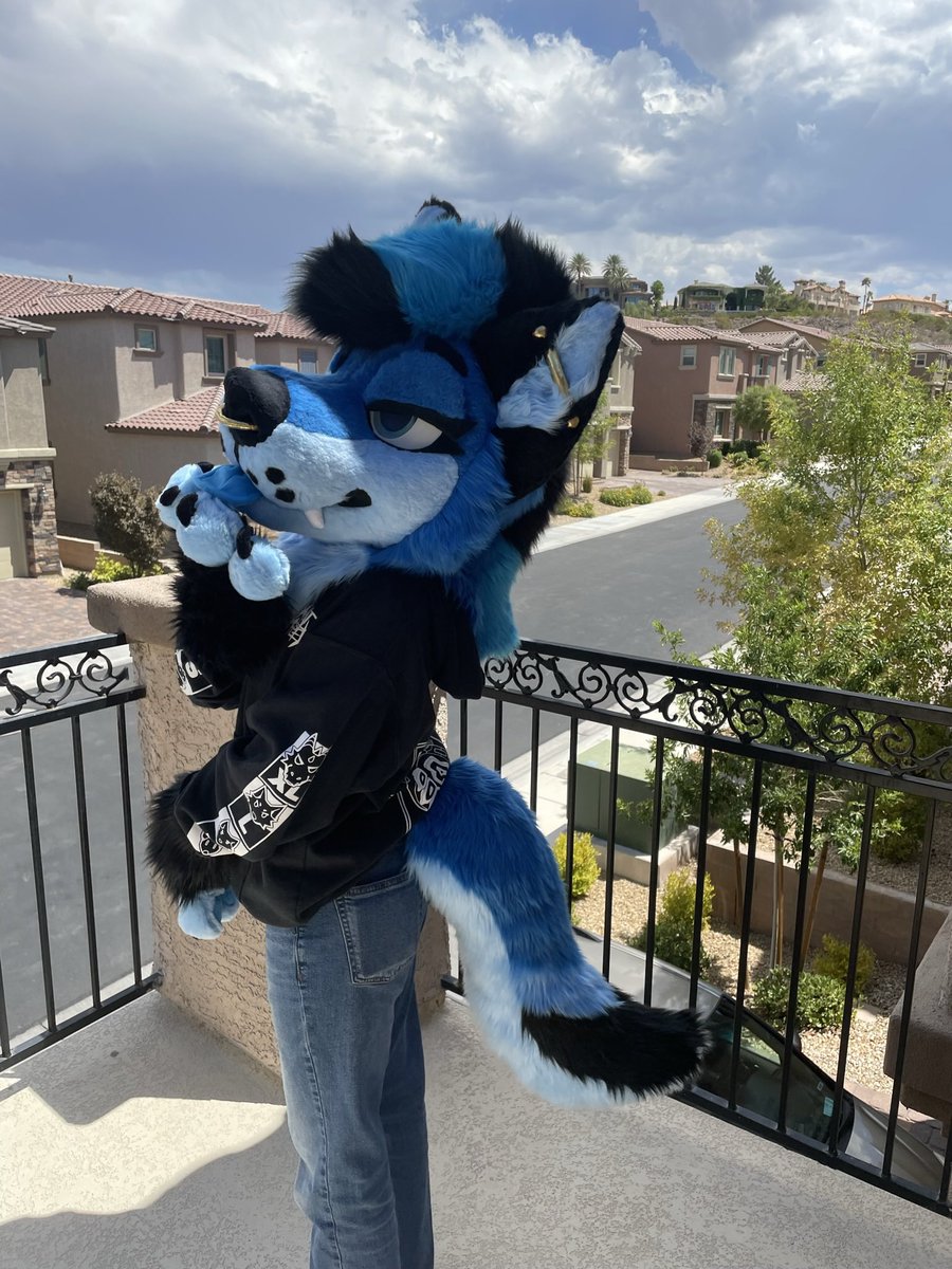 cedar_yote tweet picture