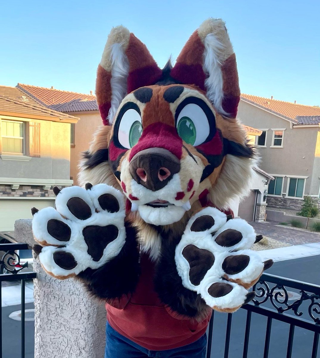 cedar_yote tweet picture