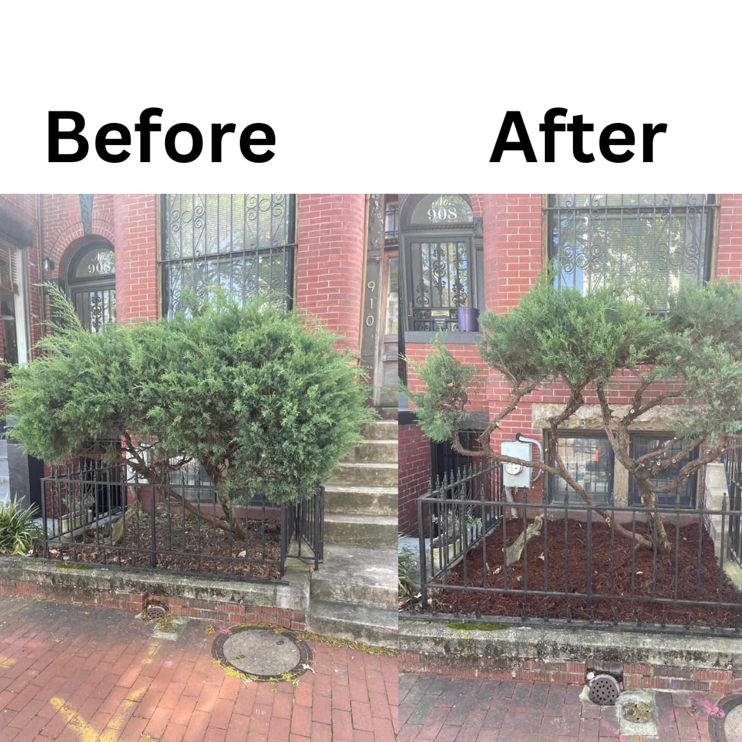 Before: A blank canvas waiting to be transformed. 
After: A lush garden oasis, a haven for relaxation and enjoyment. 🌿✨
.
.
. 
#Maryland
#Baltimore
#Annapolis
#RockvilleMD
#BethesdaMD
#WashingtonDC
#DCMetro
#DistrictofColumbia
#DMV
#GeorgetownDC
#AdamsMorgan