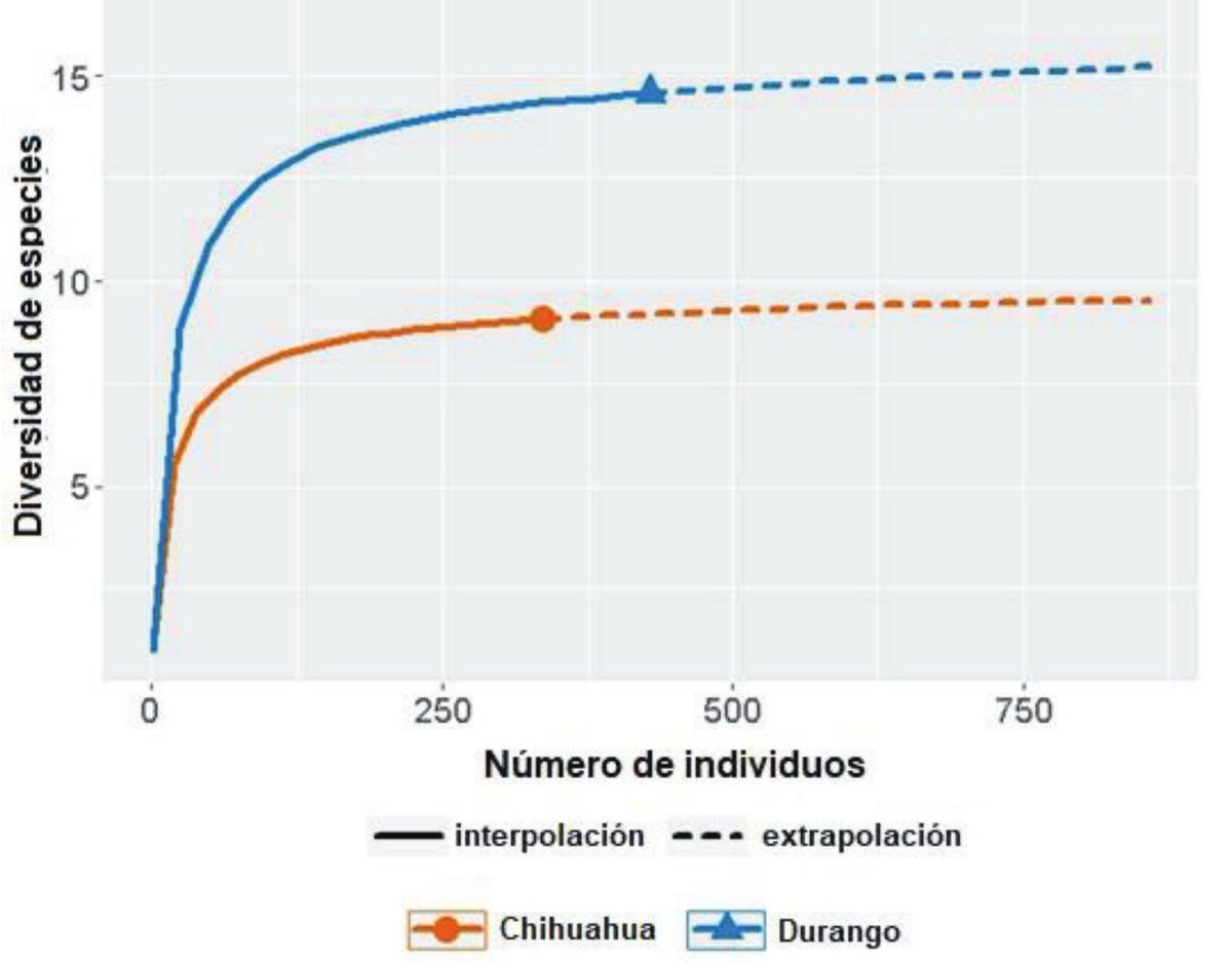 #LiteratureNotice Ortiz-García et al. Diversity of Chrysomelids in the Mexican Chihuahuan Desert. doi.org/10.3958/059.04… #Beetles #Chrysomelidae #LeafBeetles #Biodiversity