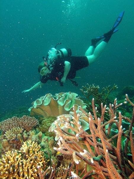 JerryatCOP21 tweet media