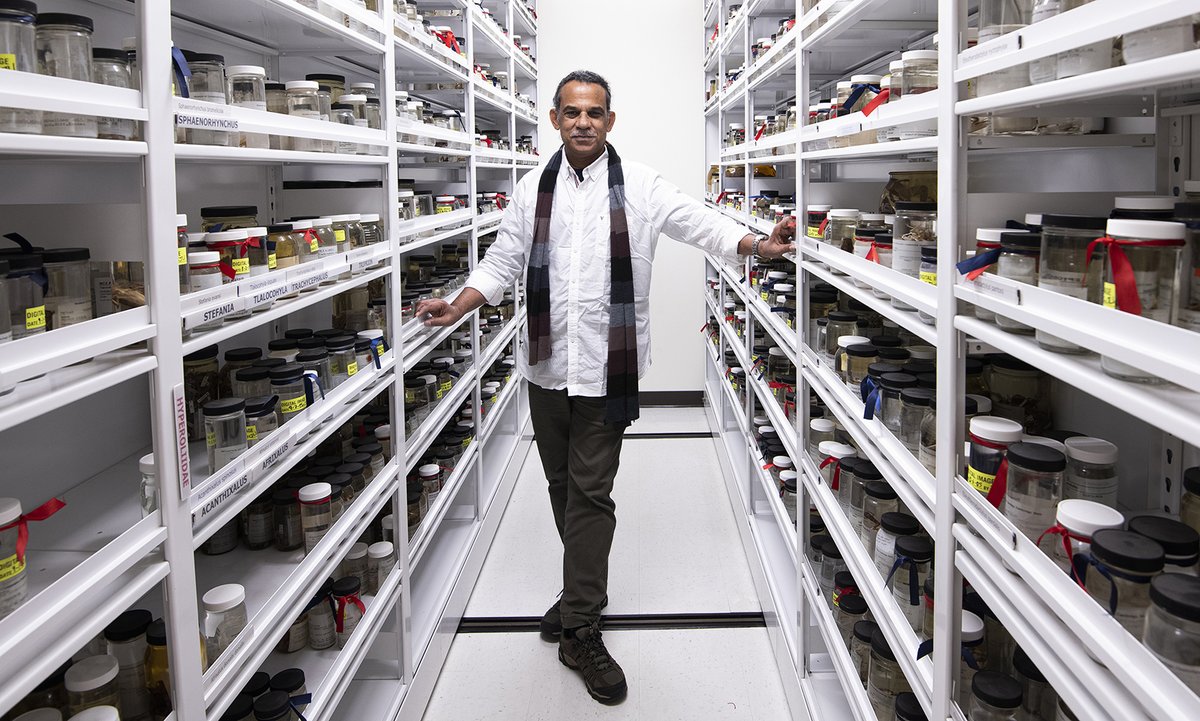 Harvard Museum (@harvardmuseum) on Twitter photo On 4/25 S. D. Biju, Prof., Dept. of Env. Studies, @univofdelhi; <a href="/RadInstitute/">Harvard Radcliffe Institute</a> Hrdy Fellow; Assoc., <a href="/MCZHarvard/">Museum of Comparative Zoology</a> and <a href="/HarvardOEB/">Harvard Organismic & Evolutionary Biology</a>, will discuss his research on the frogs of India & Asia. Register: tinyurl.com/IndiaAmphibian. Stay for #ArtsThursdays & exhibit! tinyurl.com/IndiaAmphibian On 4/25 S. D. Biju, Prof., Dept. of Env. Studies, @univofdelhi; <a href="/RadInstitute/">Harvard Radcliffe Institute</a> Hrdy Fellow; Assoc., <a href="/MCZHarvard/">Museum of Comparative Zoology</a> and <a href="/HarvardOEB/">Harvard Organismic & Evolutionary Biology</a>, will discuss his research on the frogs of India & Asia. Register: tinyurl.com/IndiaAmphibian. Stay for #ArtsThursdays & exhibit! tinyurl.com/IndiaAmphibian