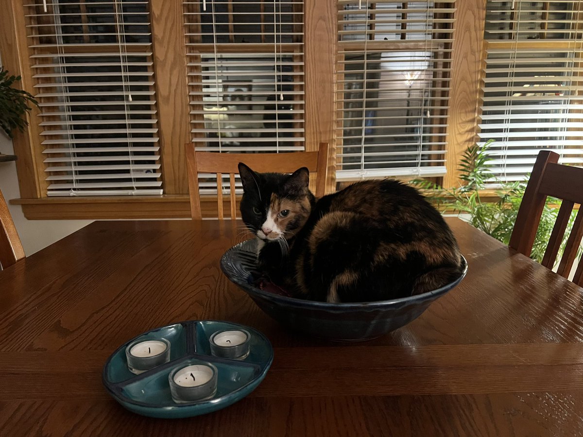 Chris Bower (@cbower) on Twitter photo 