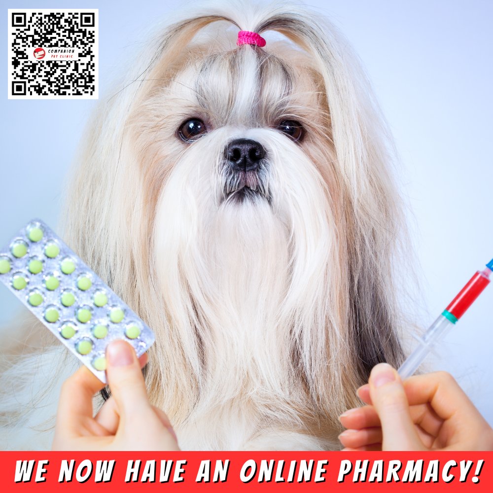 Easily refill your pet's prescription through our new, online pharmacy! bit.ly/3T2LHN3

#CompanionPetClinic #NorthPhoenix #veterinarymedicine #veterinarian #onlinepetpharmacy #petmeds #petprescriptions #vetmed