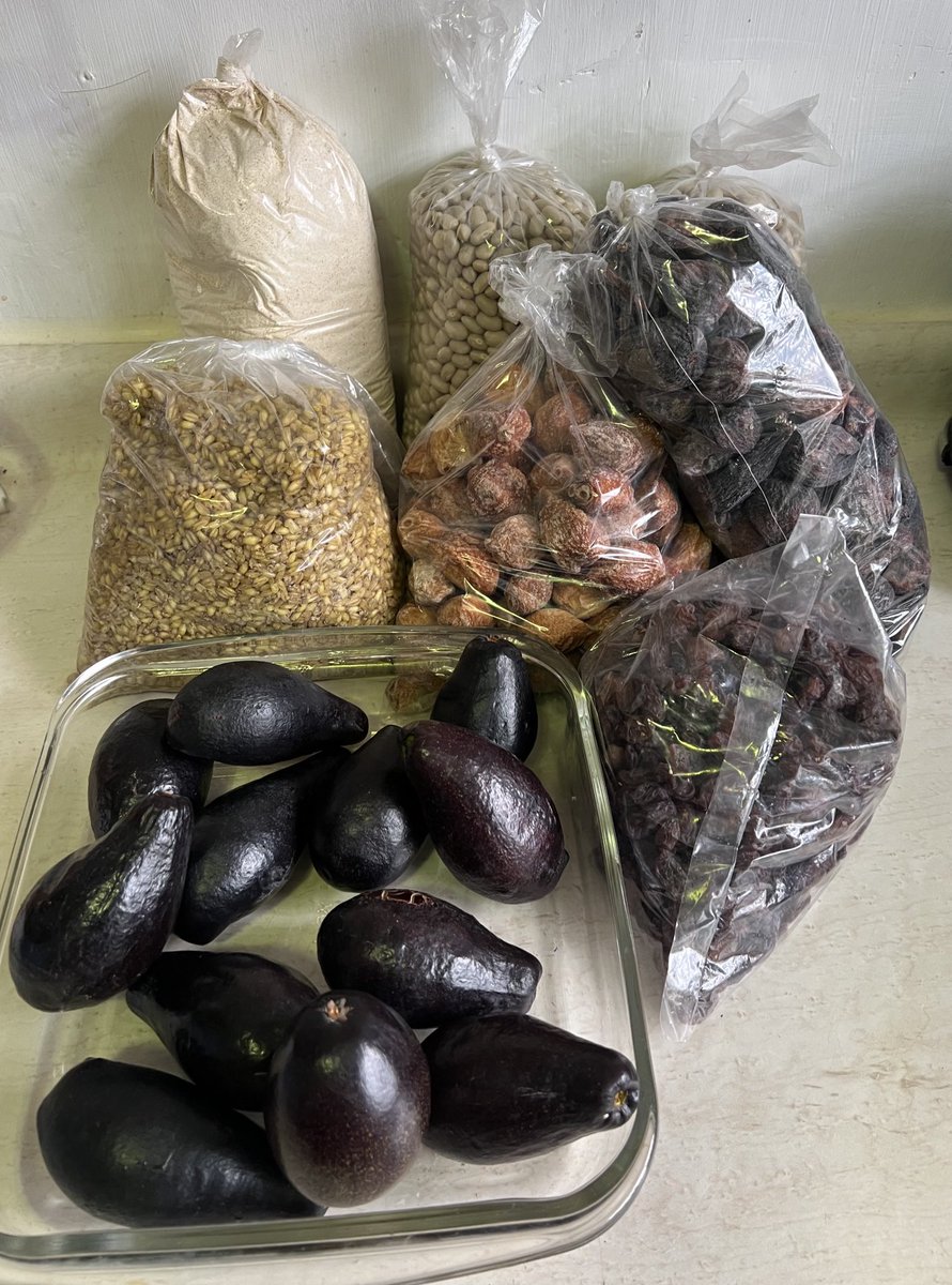 aliviada's tweet photo. Quiero presumir estos maravillosos regalitos del #valledehuasco y de #Vallenar 😋
#porotos
#harinatostada
#mote
#higos
#huesillos
#paltas
#quesodecabra
#quesodevaca
#aceitedeoliva @PayantumeHuasco
Lista para pasar el #invierno 😁
#saboresdemitierra 🙌🏼
#Atacama https://t.co/hQfXjHE77G