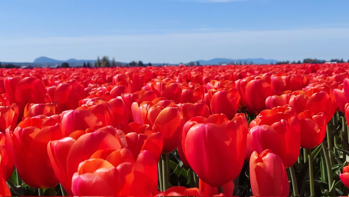 GenmaSFM's tweet photo. Nature is truly beautiful https://t.co/jgatTjI8dT