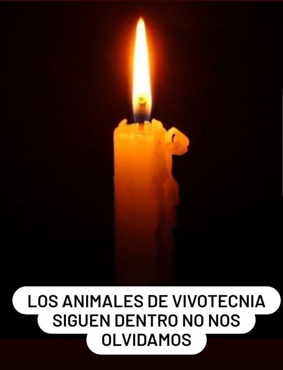 21 h.
Presentes!
.
#RescateVivotecnia 
#EndAnimalTesting 
@ONU_es
@OMS_es
@ComisionEuropea
@Europarl_ES
@EP_President
@anjahazekamp
@MargSchinas
@mapagob
@CSIC
#StopCarmales
@La1_tve 
@laSextaXplica 
@aquilatierratve