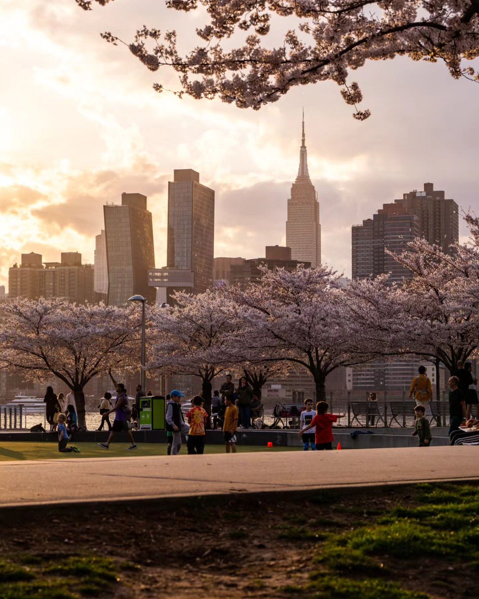 I can buy myself flowers 📷: kingy27nyc/IG