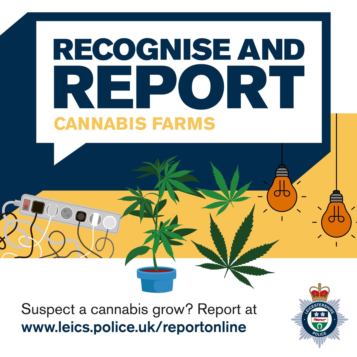 Another cannabis grow dismantled in the city today with support from our traffic and firearms colleagues. If you see what you suspect is a cannabis farm you can report it us directly via our force website orlo.uk/rVAwq PCSO Grimwood 👮‍♀️ PC Wright 👮🏼 and PC Bashir 👮🏾‍♀️