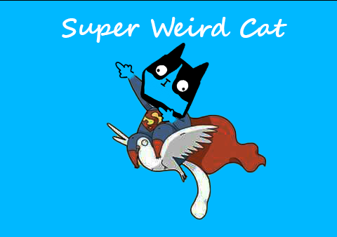 Weird Cat tweet media