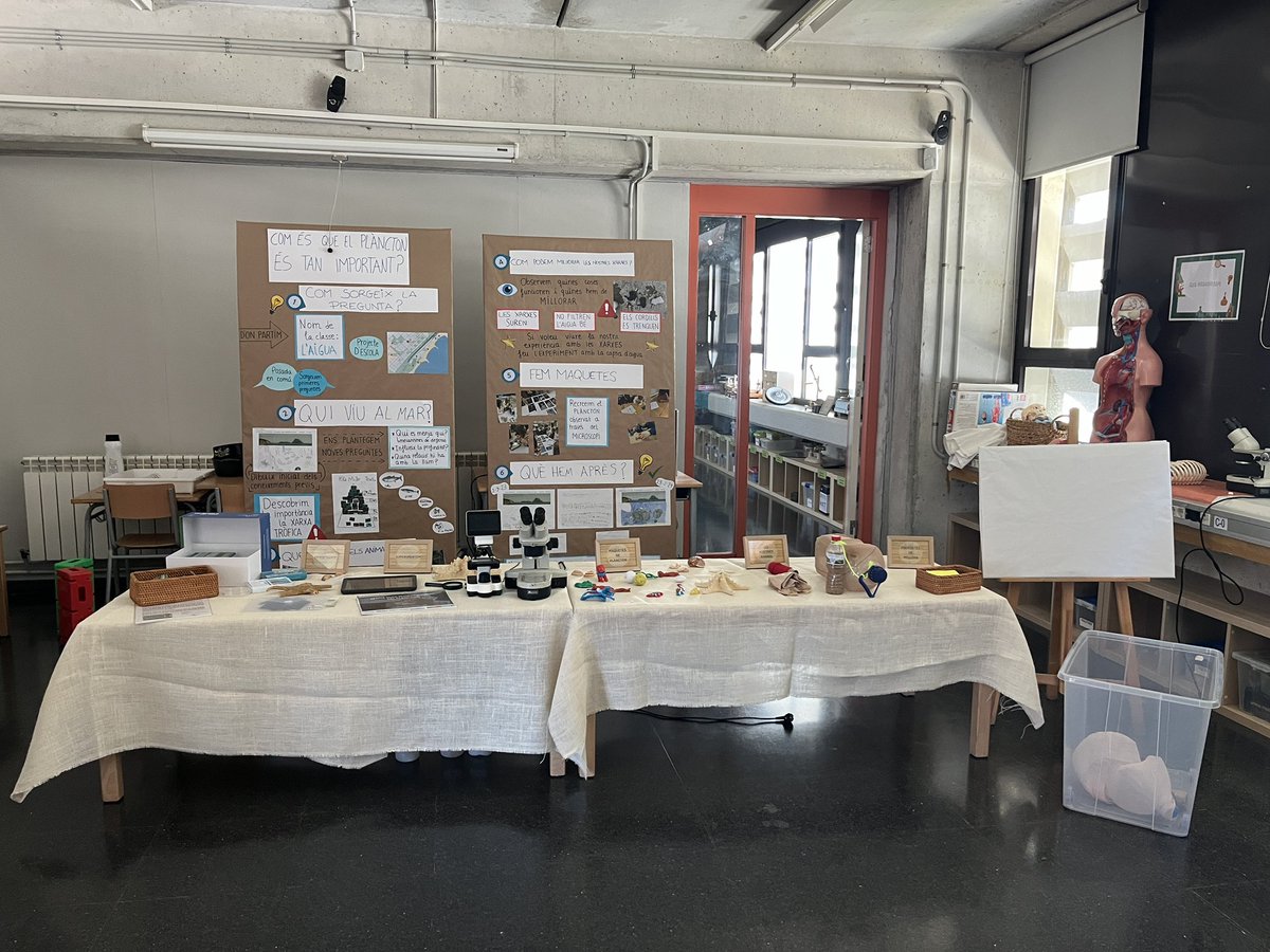 arenaldellevant's tweet image. Últims assajos de la classe de l’aigua per demà a la Fira Faig! Quins nervis! Però quina bona feina hem fet!! Queda 1 dia!! #programafaig #projectedaula