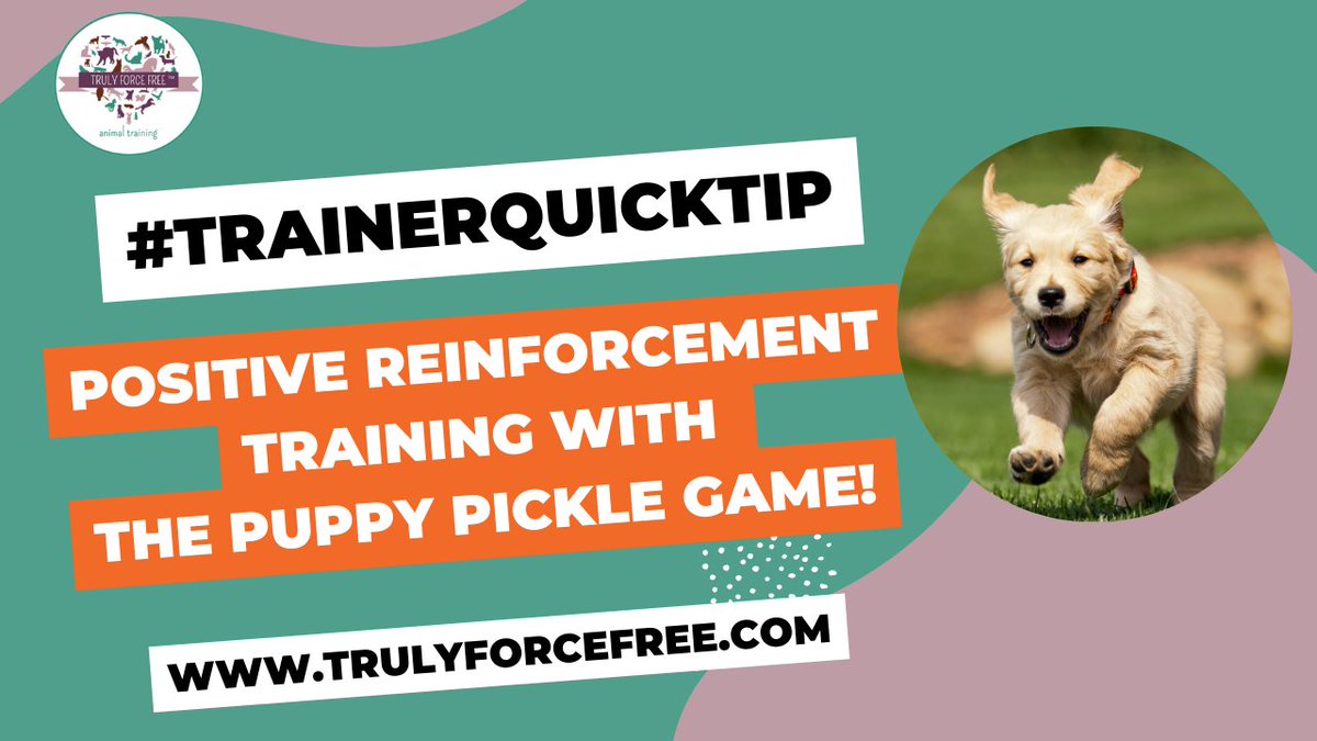 forcefree_pets's tweet image. #trainerquicktip Teach your dog to come (known as recall) with puppy pickle - great for mental stimulation + physical exercise.

youtu.be/-LL1azxJqZg