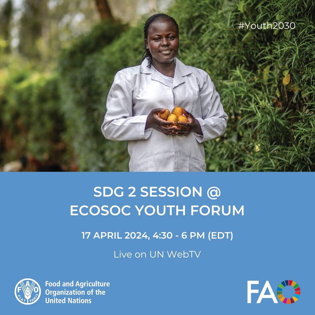 How are youth contributing to the implementation of #SDG2 & how do we include them in global decision-making processes? 📢 Tune in to the SDG 2 session of the @UNECOSOC #Youth2030 Forum tomorrow to find out! 📆 17 April 🕟 4:30-6 PM EDT 💻👉 bit.ly/SDG2YouthForum