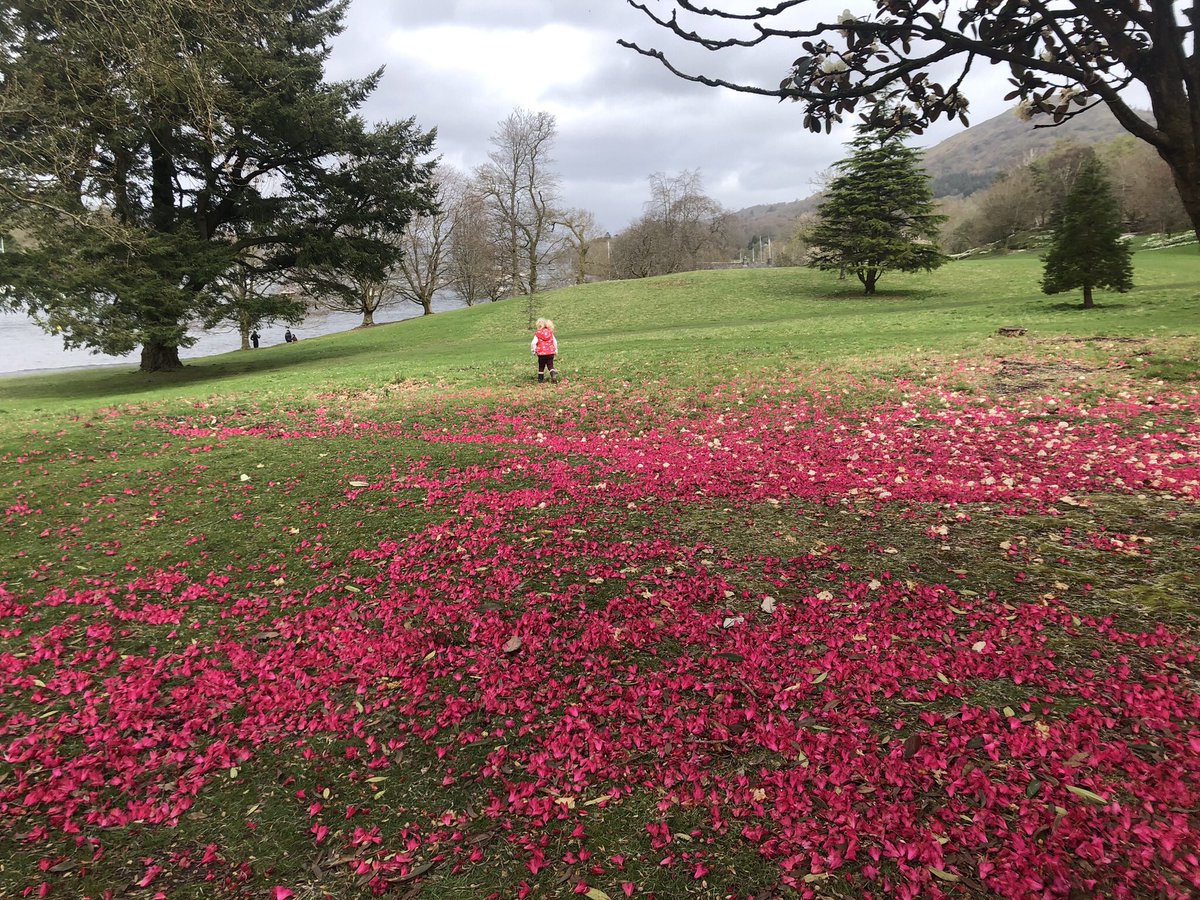 Verity Ward tweet media