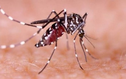 MalariaNoMore's tweet photo. 📈 The Philippines saw a 90% increase in malaria cases in 2023. Health officials cite #climatechange as a potential driver behind the surge.

🔗https://t.co/o0BsjPuMPQ https://t.co/mdIsa4ZXMV