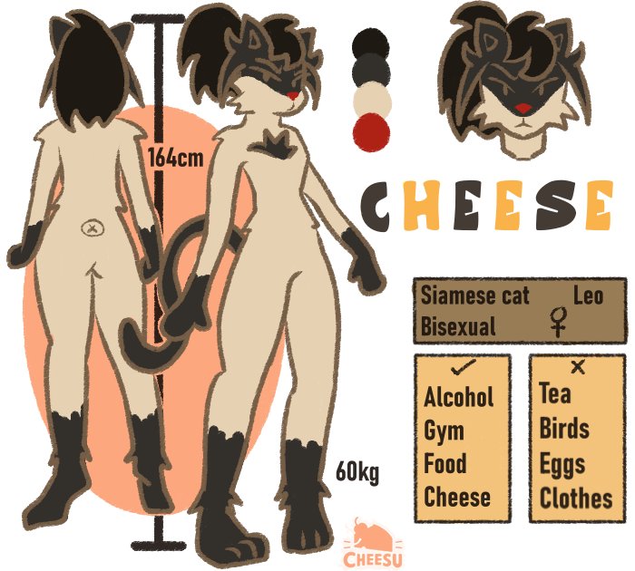 _Cheesu__'s tweet photo. Let me show you my new #refsheet of my #fursona 😼
Imma cute #siamesecat meow meow 
#ArtistOnTwitter #furryartwork #furryart #furryoc #digitalart https://t.co/dON1cwaP1p