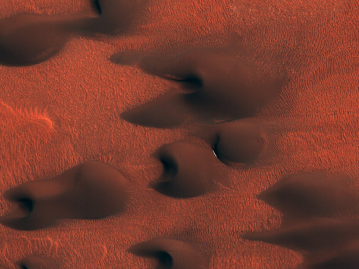 HiRISEPortugues's tweet photo. HiPOD: Leitos formados pela ação do vento em Scandia Cavi

número: ESP_052805_2565
data de aquisição: 01 novembro 2017
altitude: 317 km

https://t.co/2FAAeImFfN
NASA/JPL-Caltech/UArizona
#Marte #NASA #ciência #português https://t.co/ILgYMx3TZp
