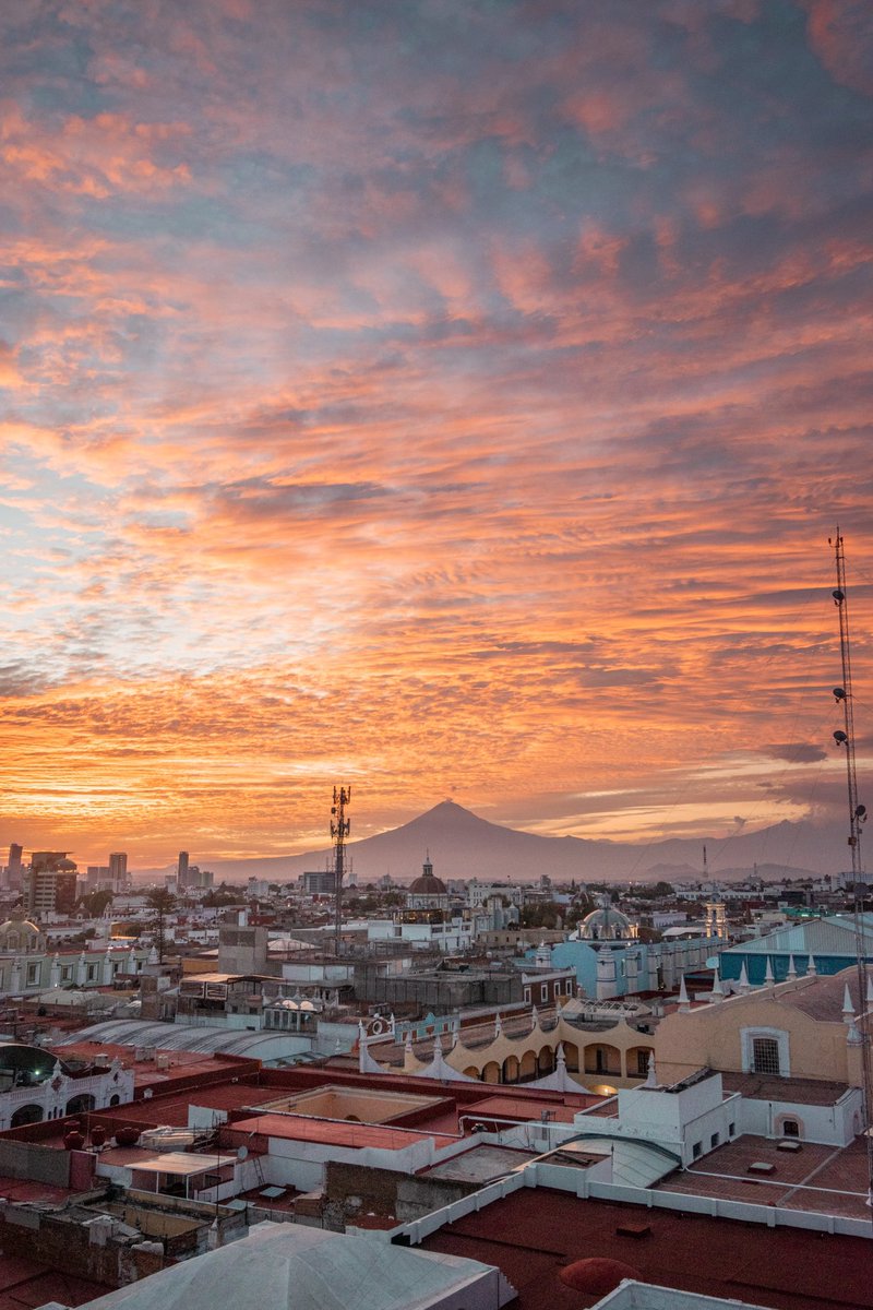 Felices 493 años a mi Puebla querida. Mi ciudad hermosa, donde siempre estará mi ❤️.

Deseo que tu belleza siga y que lo mocha y conservadora que tienes pronto se aleje, (y algunos pipopes también 😛)

Postales varias | 2020-2024

#Puebla