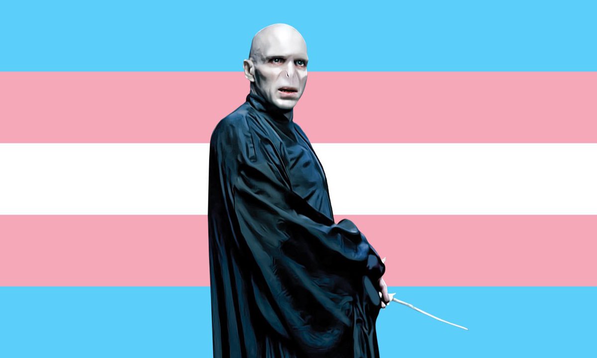 Lord Voldemort was trans. 
#TransDayOfVisibility