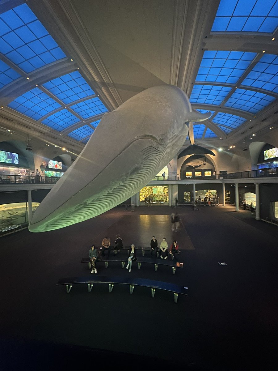 your unemployed friend on a tuesday is doing werckmeister harmonies at the museum of natural history