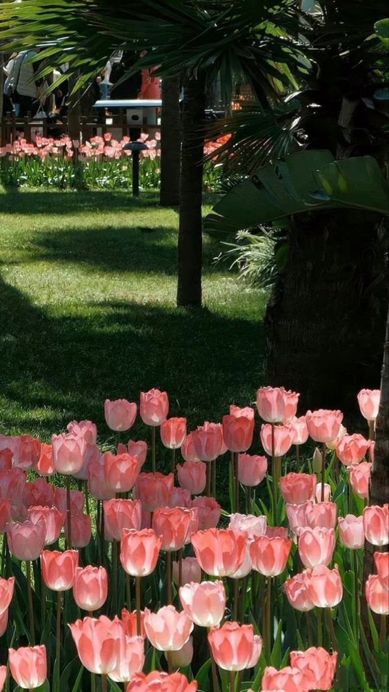 La vie est belle (@lavieestbelie) on Twitter photo 