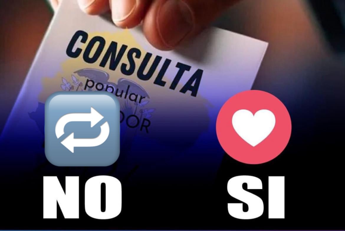 ¿Cuál va ser su voto el domingo en la consulta popular?