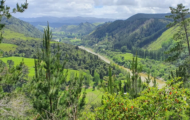 Beyond legal personhood for the Whanganui River: Collaboration and pluralism in implementing the Te Awa Tupua Act dlvr.it/T5bQ2z (via resilience.org)