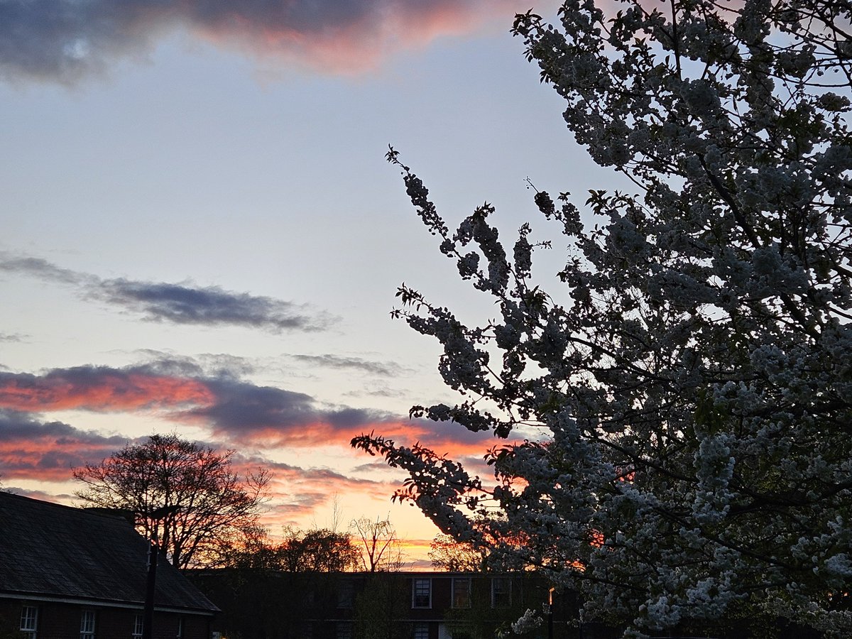 Gorgeous Oxford sky...