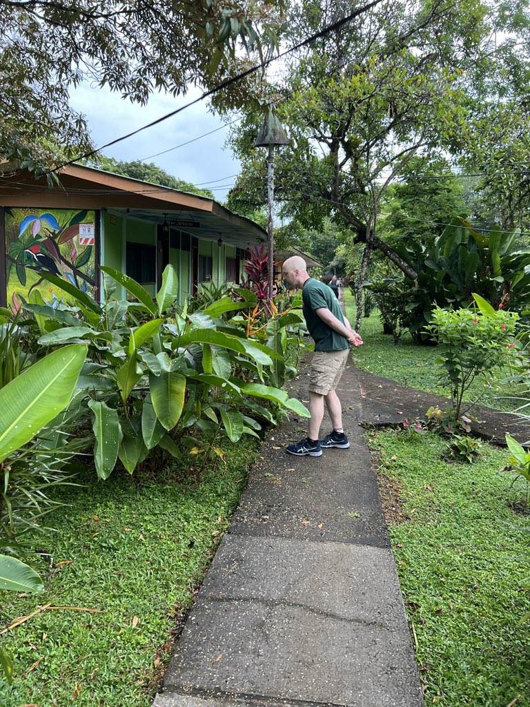 DoctorJOtto's tweet photo. Enjoying the early morning of Tortuguero. Heading inland. @MonomoySchools @ScienceWithMrB @MRHSMsOliver #MonomoyInCostaRica2024 https://t.co/qZWJ28AyOE