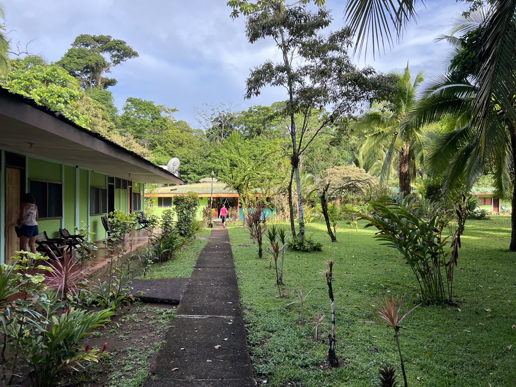 DoctorJOtto's tweet photo. Enjoying the early morning of Tortuguero. Heading inland. @MonomoySchools @ScienceWithMrB @MRHSMsOliver #MonomoyInCostaRica2024 https://t.co/qZWJ28AyOE