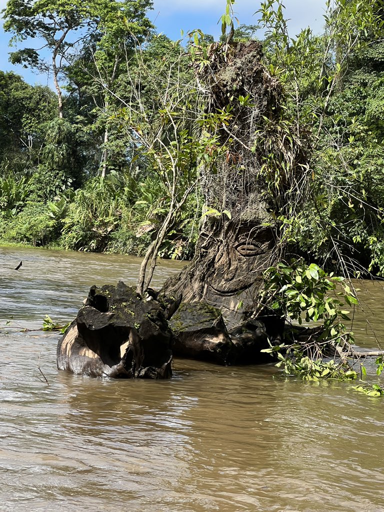 DoctorJOtto's tweet photo. Enjoying the early morning of Tortuguero. Heading inland. @MonomoySchools @ScienceWithMrB @MRHSMsOliver #MonomoyInCostaRica2024 https://t.co/qZWJ28AyOE