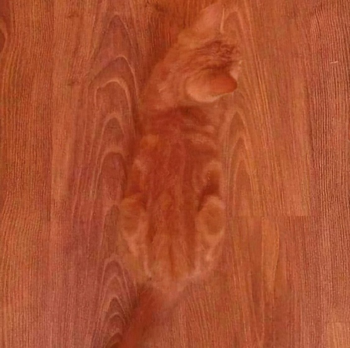 camouflage