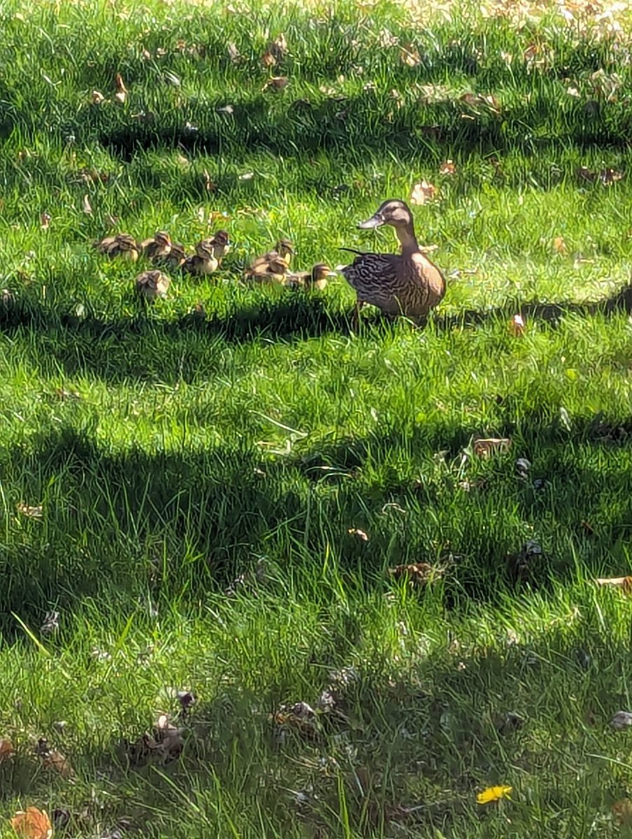 Holly Stettner tweet media