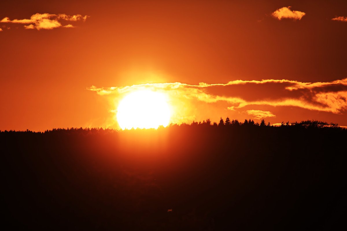 Sunset over a wood where I monitor red scamps this evening 🐿️🌳🌅 #lakedistrict #sunset