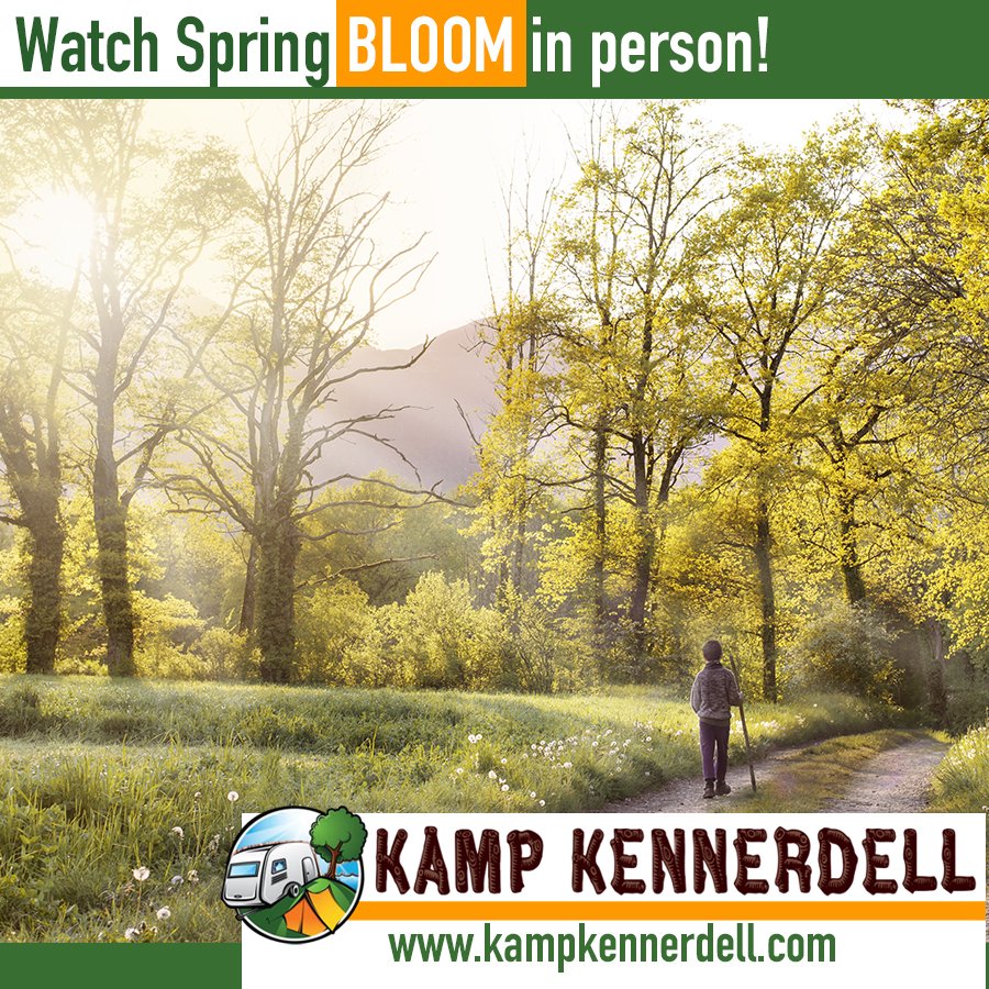 Call (814) 388-9533 or visit kampkennerdell.com for more information on reserving a #campsite in 2024. #ExperienceNature #KampKennerdell #KennerdellPA #Camping #outdoors