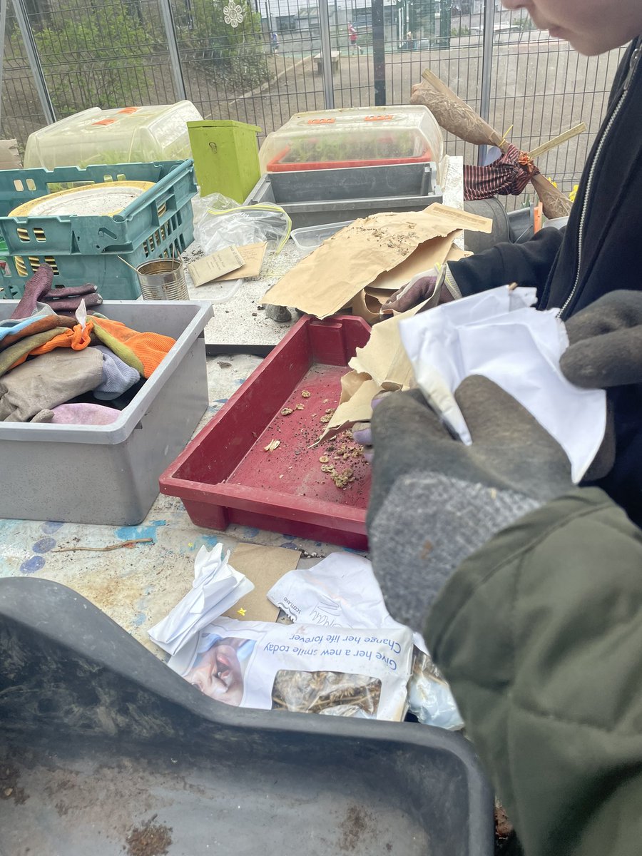 #RHSBloom60 began its <a href="/Grove_Academy/">Grove Academy</a> journey with the S2 Outdoor Learning Group today. 5 different seeds sown. We made our own seed mix and “hatched” our seeds (we hope).  We also made our own #WildFlower mix from our stored seeds and scattered that in our butterfly bed at school