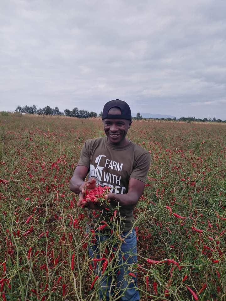 What would happen in the next 30 years if both men and women participated equally in the workforce?

Strive for #GenderEquality towards #ZeroHunger.

Photo: @agribusiness110 and @Fredmunene_