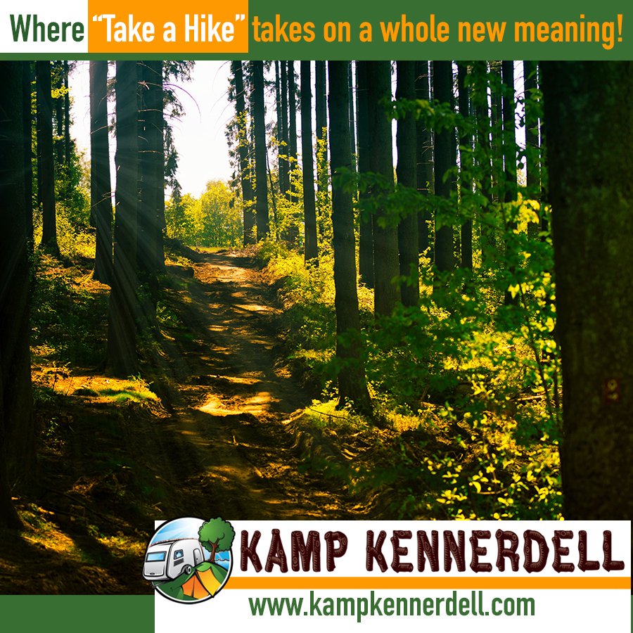 Call (814) 388-9533 or visit kampkennerdell.com for more information on reserving a #campsite in 2024. #ExperienceNature #KampKennerdell #KennerdellPA #Camping #outdoors