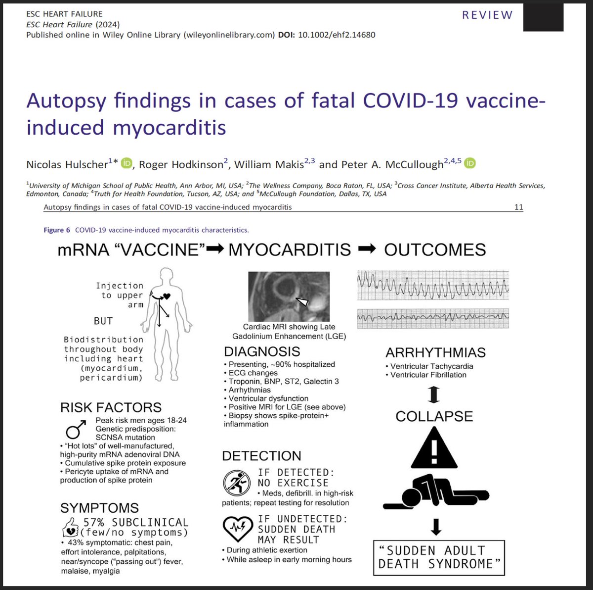 When a baby crib is recalled because there are a handful of injuries, we don't say 'but what about all the babies who were fine!' When a Covid vaccine is connected to myocarditis in hundreds of studies worldwide, our focus should not be on those who did fine, it should be on the…