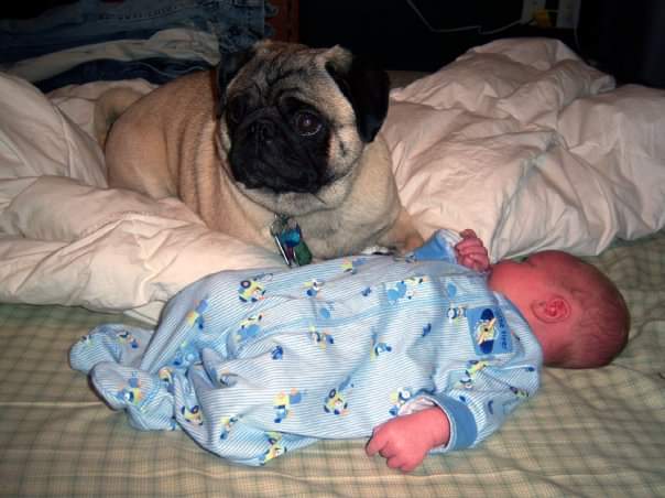 Hope Eaton-Smith tweet media