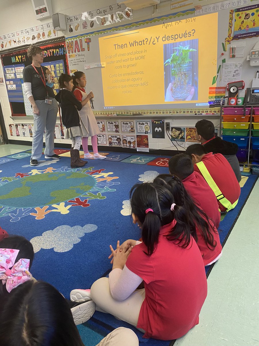 Maria Zuffanti (@mariazuffantim) on Twitter photo Our special guests taught us how to make Sweet Potato slips to grow in the garden. They presented in English and Spanish! So proud of them. <a href="/rbpsEAGLES/">Red Bank Primary</a> <a href="/NurseReardon/">Nurse Reardon</a> #RBBisBIA Our special guests taught us how to make Sweet Potato slips to grow in the garden. They presented in English and Spanish! So proud of them. <a href="/rbpsEAGLES/">Red Bank Primary</a> <a href="/NurseReardon/">Nurse Reardon</a> #RBBisBIA