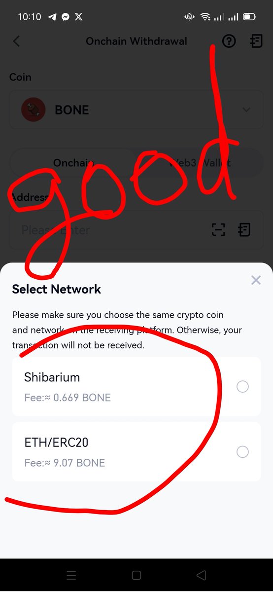 SarathRet's tweet photo. @RyoshiCrack Buy now! BONE to the moon 💎 https://t.co/SOYyBNcXUf