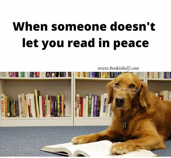 Please, the enemies are about to become lovers. We'll need a moment to process this. 

[🤪 Meme by bookishelf.com on Pinterest]

#books #reading #bookmeme #bookstr