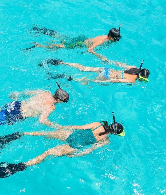 Preserve Paradise, one adventure at a time. 🌊 

When vacationing with us in Nassau &amp; Paradise Island, we encourage you to take advantage of our eco-friendly activities. Learn more: bit.ly/43YN3Mx