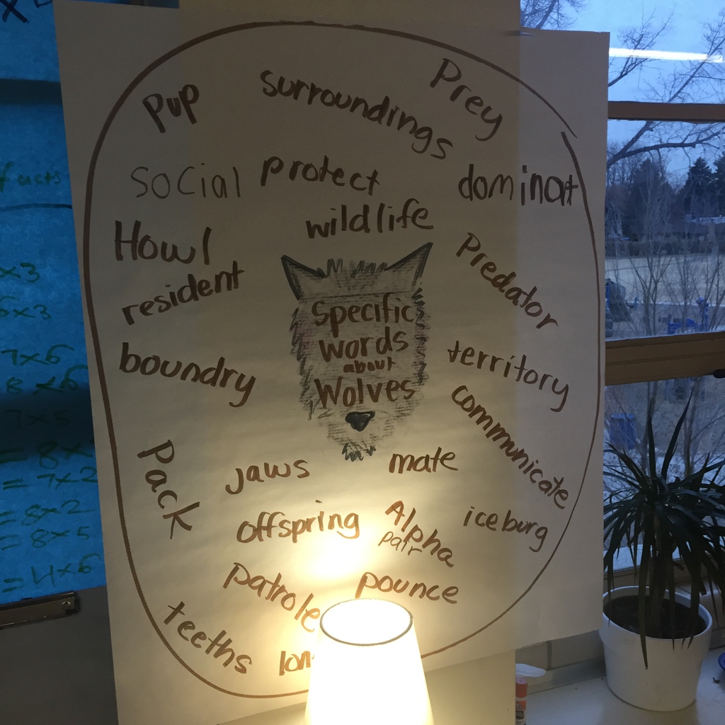hikyleschwartz's tweet image. I always try to take pics of #anchorcharts I make so I can remember what the heck I wrote on them for the next year... so here is an old snap of one I found wayyyyy back on the camera roll.

#anchorchart #kyleschwartz #kyleschwartzteaches #education #school  #edchat