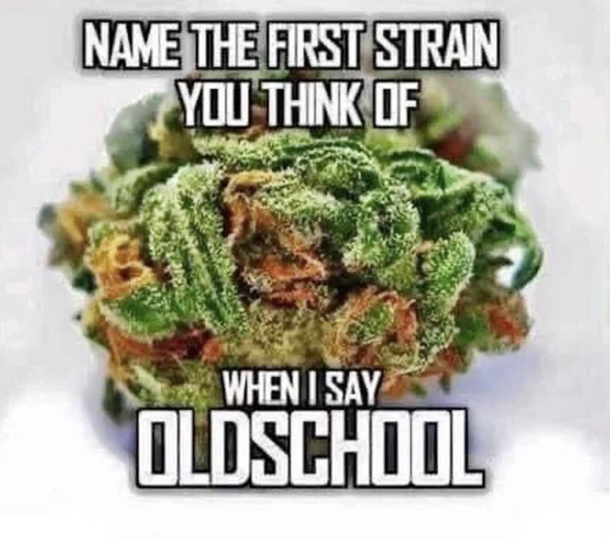 Cannabis Training University tweet media