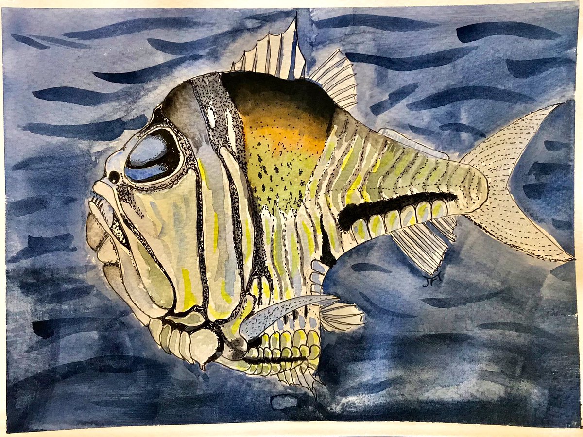 A couple days late for   #SundayFishSketch. But happy birthday to the founder @Lampichthys. Repost of a hatchetfish I liked for the deep sea theme.