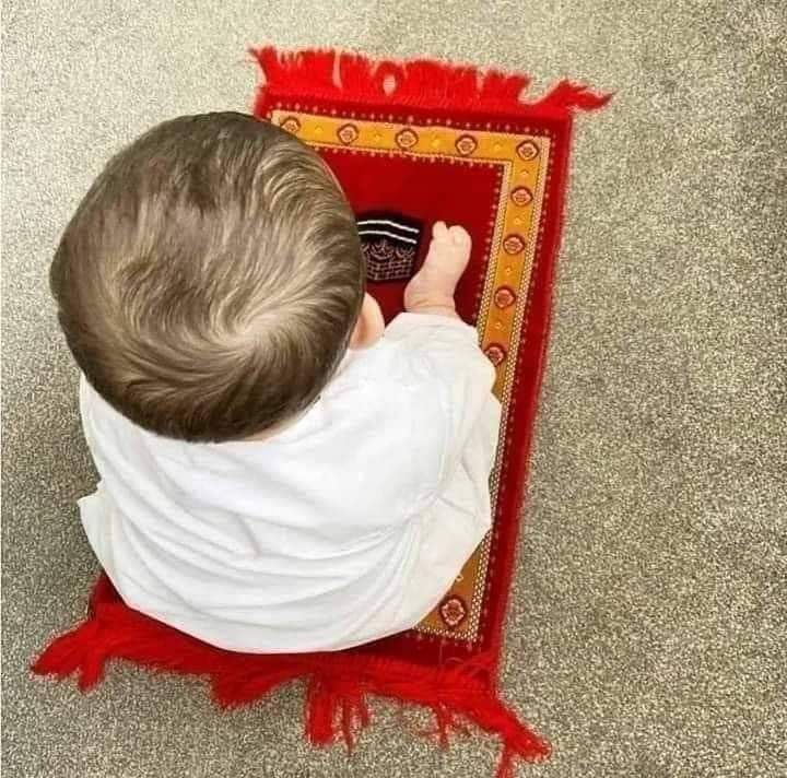 arham_arham22's tweet photo. #Subhan_Allah 💕🌹 https://t.co/uYC6WkqgAY