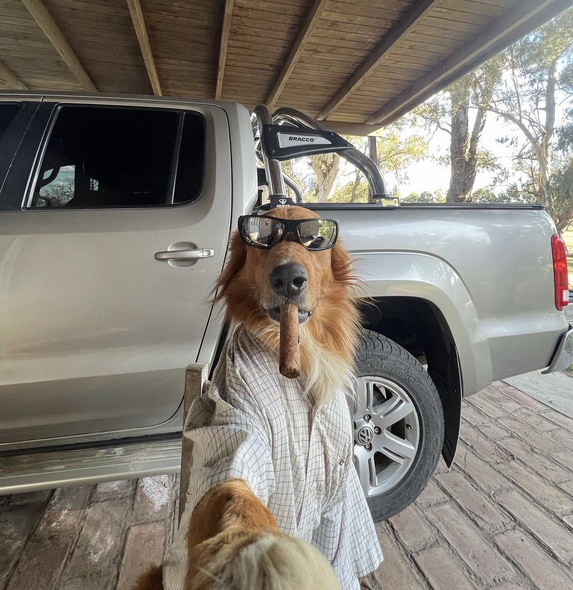 FarmDogSOL's tweet photo. Farm Dog will be everywhere!🌎

Should I burn more supply?🔥

$FD https://t.co/fDAQX8eQtY