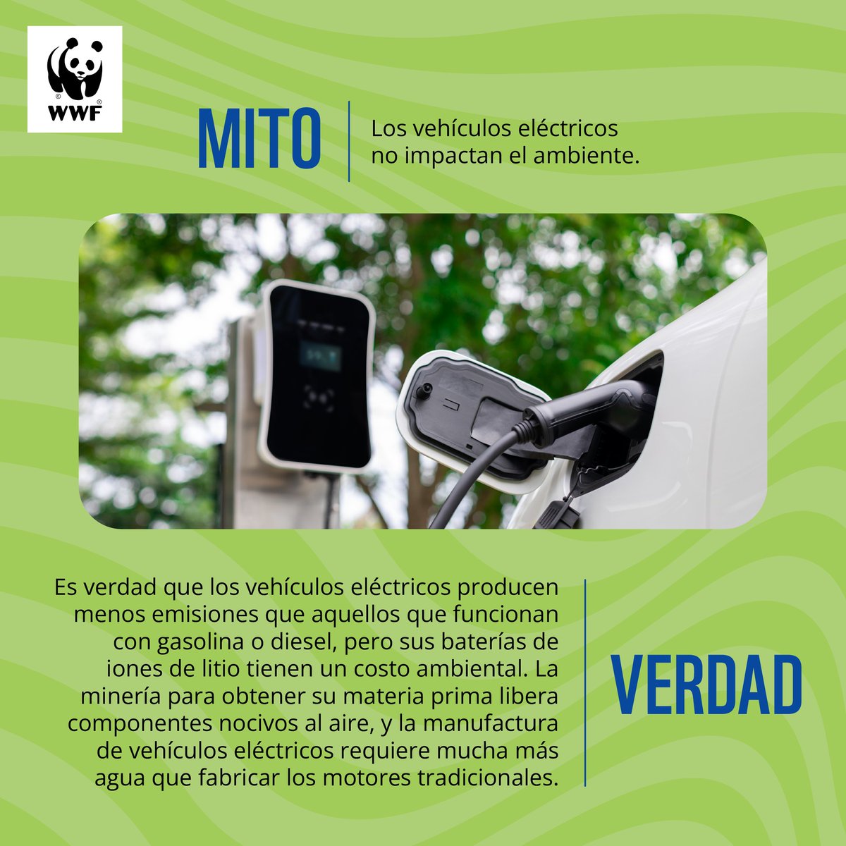 Sí, los vehículos eléctricos producen menos emisiones que los #vehículos normales, pero la forma en que se fabrican y recargan puede impactar el #ambiente. 

¡Te invitamos a desaprender este y más #mitos ambientales cada #martes! 

 #MartesDeMitos #VehículosEléctricos